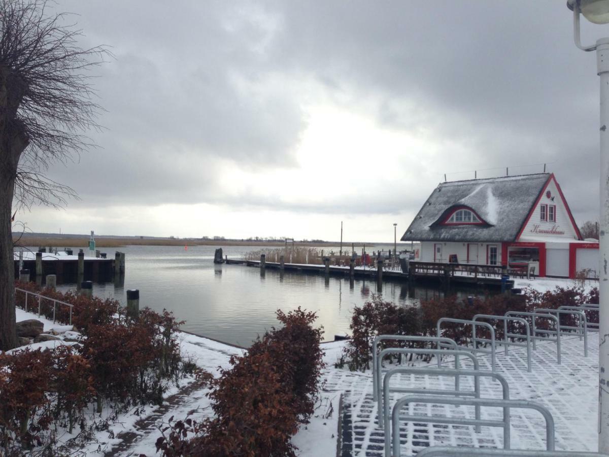 Fewo Am Alten Hafen - Zingst Ostseebad ภายนอก รูปภาพ